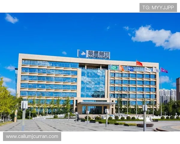 凯发集团官网首页：详细解析平台安全保障措施与用户体验优化方案